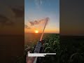 High-Pressure Crop Irrigation Cannon in Action 🚿🌽 #FarmingTech #Irrigation #AgriInnovation