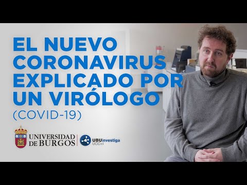Vídeo: Cómo Prepararse Para Una Posible Pandemia De Coronavirus - Consejos De Virólogos - Vista Alternativa