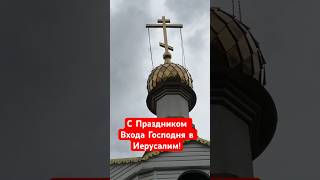 Вербное Воскресенье в Подмосковье