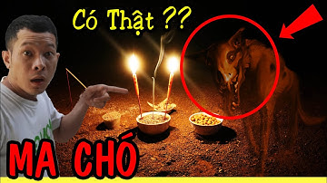 PHIM NGẮN - Camera Quay Được Ma Chó | Ma Chó Là Có Thật ?? | Ku Khoa Vlog