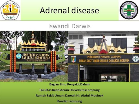 Perkuliahan Endokrinologi-Penyakit Adrenal