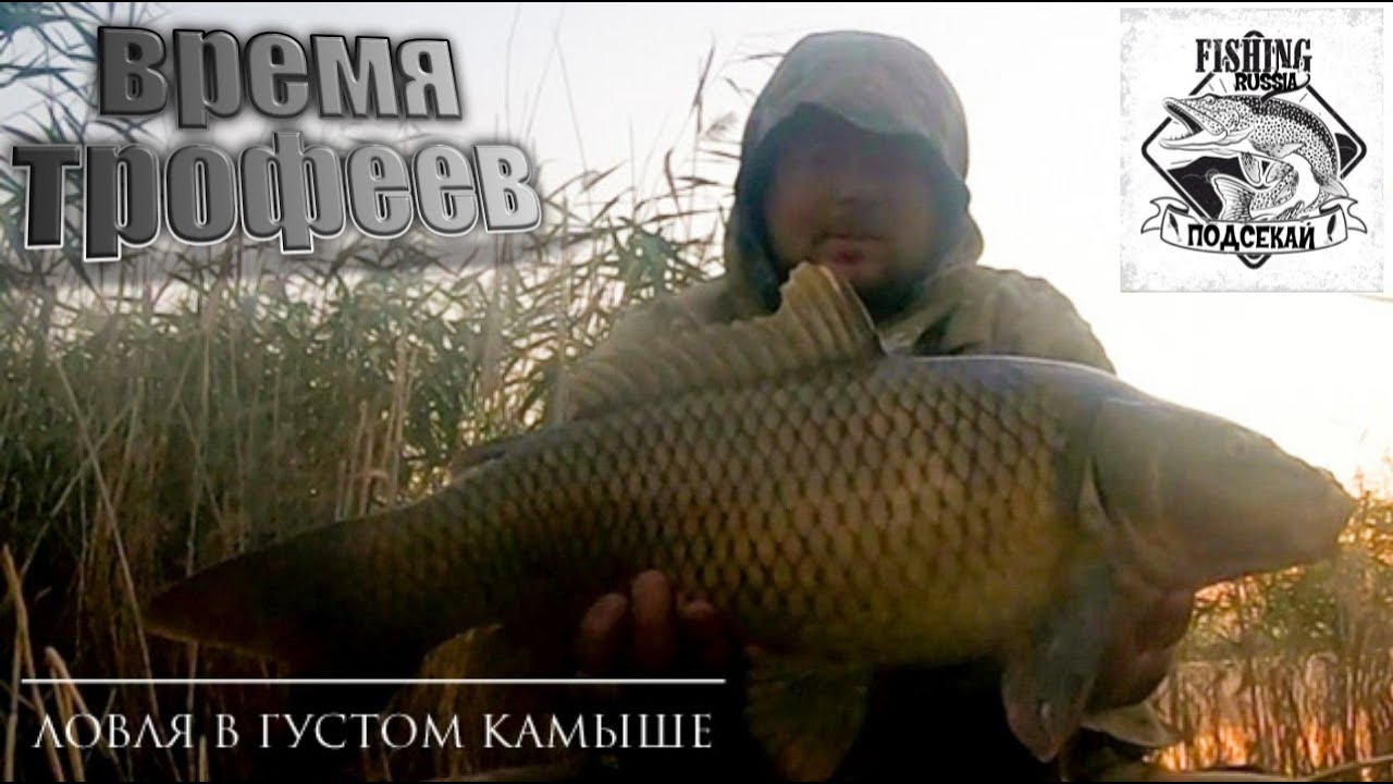 УДАЧНЫЙ КЛЁВ!!! Карп на боковой кивок Ловля карпа поздней осенью