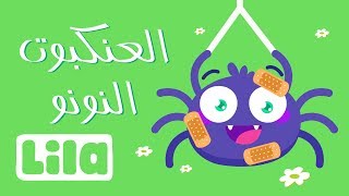 Itsy Bitsy Spider 🕸️ العنكبوت النونو