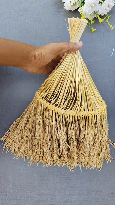 Paddy Laxmi 🙏 #shorts #youtubeshorts #diy #laxmi #trending