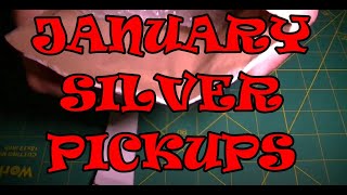 January Silver Pickups (Trying to get a decent size Stack)
