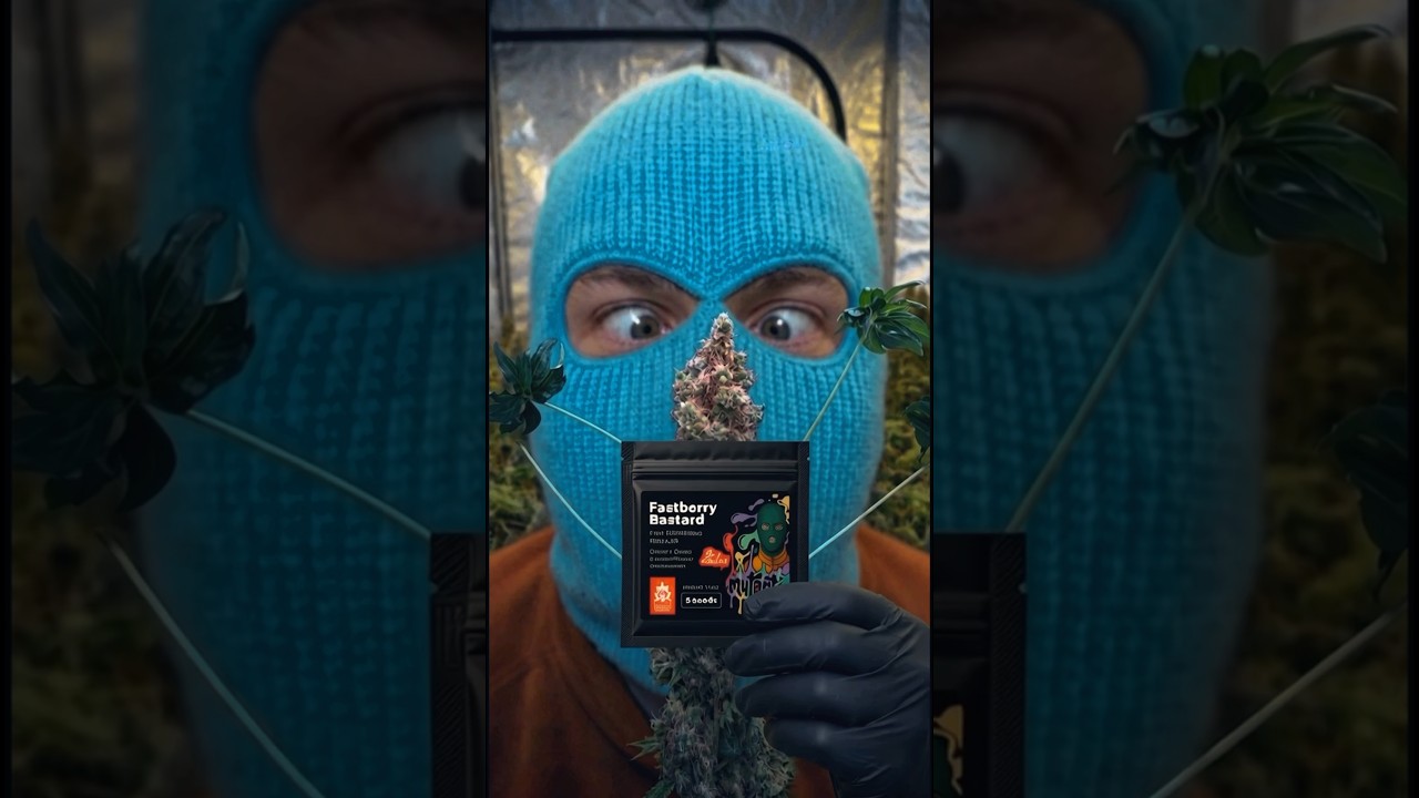 Fastberry Bastard ABC line video preview