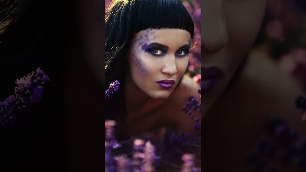 LAVENDER FIELD ON SUNSET PHOTOSHOOT IN NATURAL EVENING LIGHT