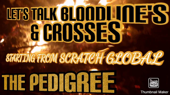 The Bullyson Family "Hand's Gr Ch Candy(Rom)#APBTPLIFE#