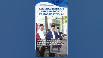 Jelang Idul Adha Kemenag Serahkan Sapi Simental Berbobot 800 Kg kepada Masjid Istiqlal