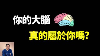 為什麼我們永遠無法看到真相你的大腦真的屬於你嗎錯覺如何產生【老肉雜談】