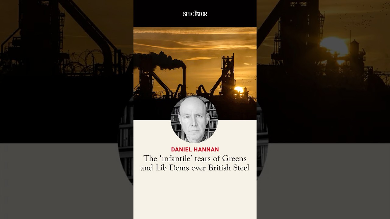 'We're infantilised': the hypocrisy of the Lib Dems and Greens trying to save British Steel