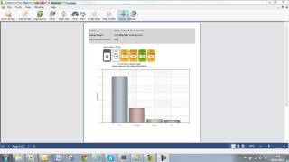 Print and Export