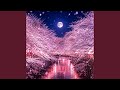 桜月夜