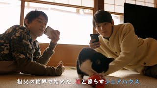 古川雄輝、細田佳央太ら出演　「猫付きシェアハウス」を舞台に、猫が結んだ“家族”の物語　『劇場版 ねこ物件』新予告
