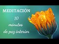 Meditación guiada 10 minutos || 🌾 Conecta con tu PAZ interior 🌾