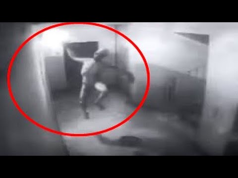 5 CRIATURAS MISTERIOSAS FILMADAS POR CÂMERA DE SEGURANÇA