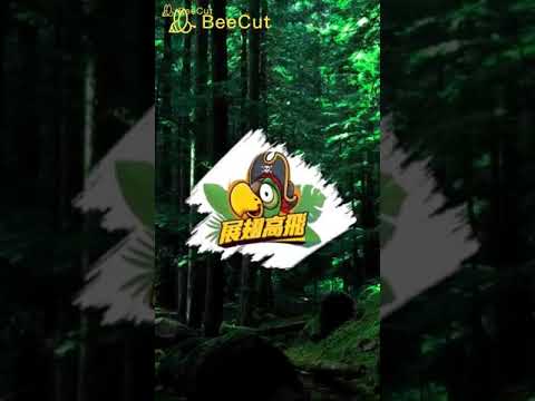 2019無敵大串燒 (完整版高音質)
