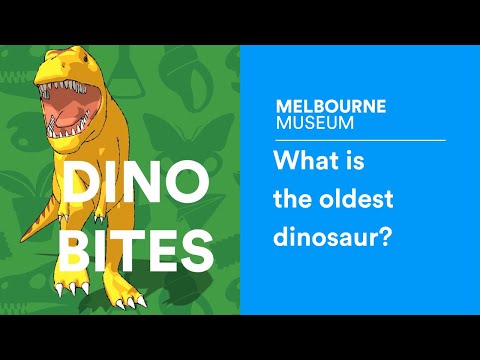 Video: Quando è vissuto nyasasaurus?