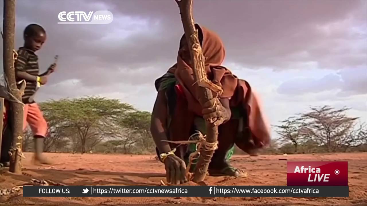 Somali government urging Kenya to reconsider its decision