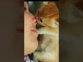 Adorable Kittens Compilation ❤❤❤ | Sweetest Kitties of 2026 😺 (I_LOVE_YOU_BABY_36)