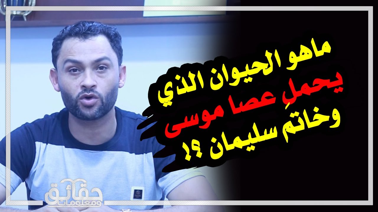 ماهو الحيوان الذي يحمل عصا موسى وخاتَم سليمان⁉️ويميز بين المسلم وغير المسلم⁉️🤔