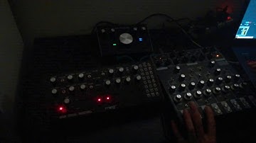 Moog DFAM + SOMA Lyra 8 [DFALr8]