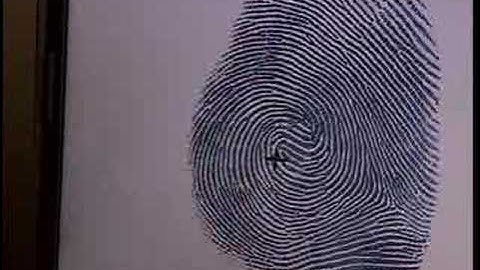 Data-Mining for Fingerprint Identification