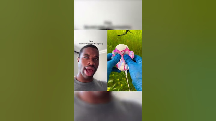 The real origin of thanksgiving #funny #relatable #pov #humor