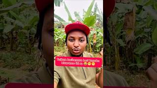 Taikun Ndahiro Kuri Kasuku