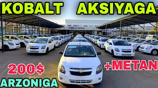 картинка: Kobaltlar Aksiyaga Tushdi Buxoro Tradinga Pasportga AvtoKreditga Кобалтлар Акцияга Тушди бухорода