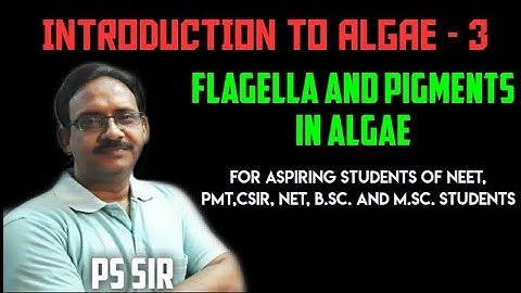 Introduction To Algae (Part-3) : Flagella and pigments |PS Sir | NEET, PMT, B.Sc. , M.Sc. ,CSIR,NET