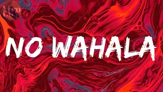 No Wahala - 1da Banton (Lyrics)