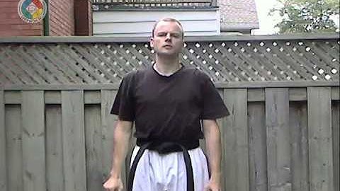 Taekwondo: Hapkido: Foundations: outward forearm side block, front view