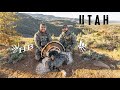 Hunting Mountain GOBBLERS w/ Heartland Bowhunter (2 Birds Down!)