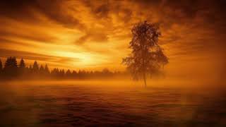 Tranquil Sky #sleep #study #relaxing #remix #peaceful #relaxingmusic #ambientmusic #music #nature