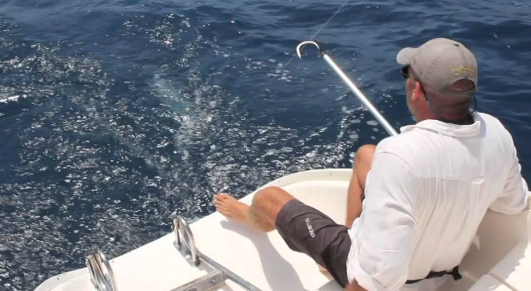 Tuna, fishing in North Queensland YouTube