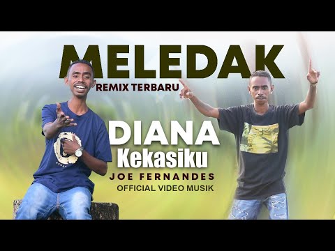 MELEDAK🌴DIANA KEKASIKU REMIX TERBARU || Cver Joe Fernandes || Official Video Musik