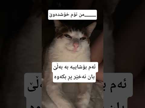 بە وشەی گونجاو پڕی بکەوە 