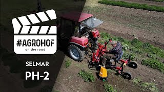 Inrow Cultivation In A Lavender Garden Selmar Ph-2 Belarus Mtz 320.4 Agrohof