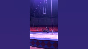 ngành xiếc đang cần được bảo tồn và phát huy / một nghề nghiệp mua vui cho thiên hạ #shorts #circus