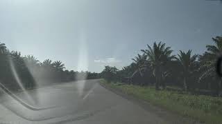 Camino De Trujillo A Tocoa, Colón, Honduras