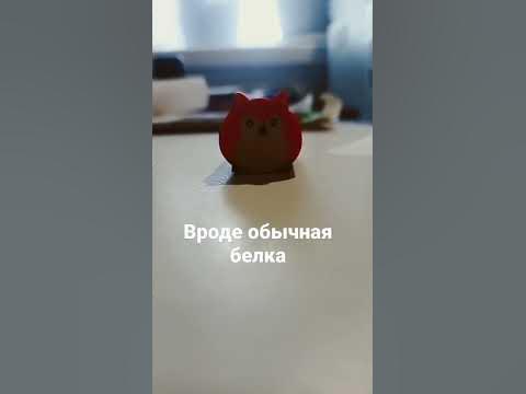 обычная белка #белка #shorts - YouTube
