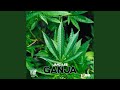 Ganja