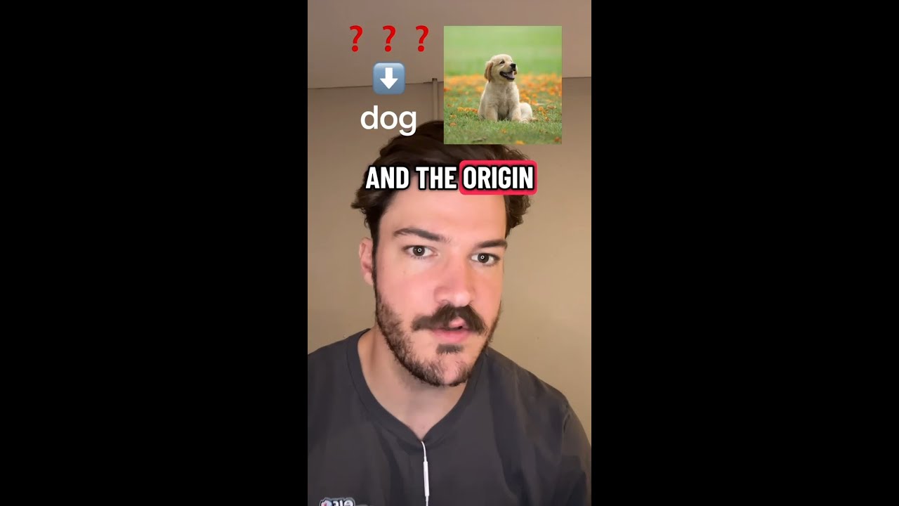 Undulating Word Origin Unsolved Word Origins 🕵️ English Etymology Even Linguists Can’t Explain ...