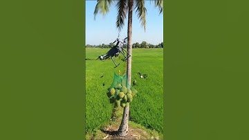 Durian Drone Takes a Coconut Hit and Goes Down!  #drone #aivideo #shorts