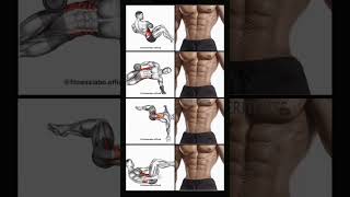 Lose Love Handles Fast! 4 Best Oblique Exercises 🔥#abs #homeworkout