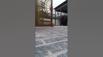 mô tơ con rùa dẫn cánh forseer