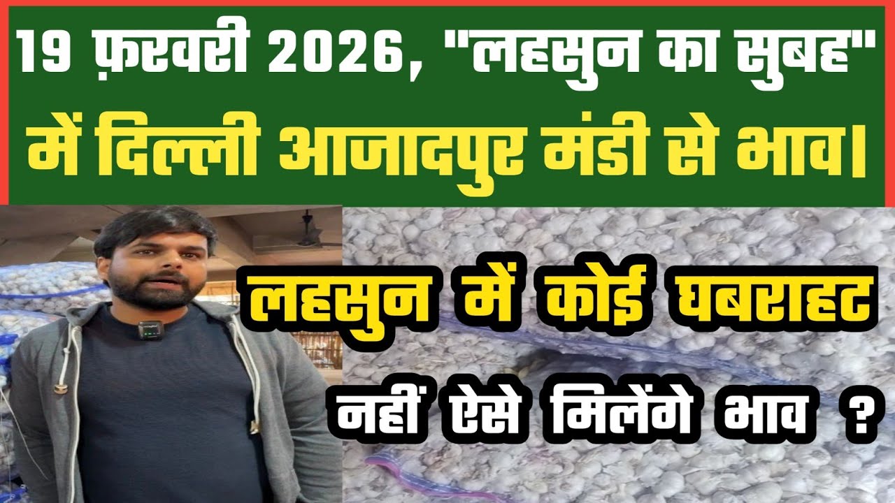 लहसुन बाज़ार से कितनी उम्मीदें ? Azadpur Delhi Mandi Today 19-02-2026 को बने ऐसे Garlic Price DMT TV
