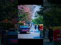 #bangalorediaries #pinkcity #captureloom