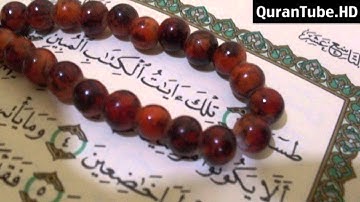 محمد عبدالحكيم | 026 : سورة الشعراء | الدوري عن الكسائي